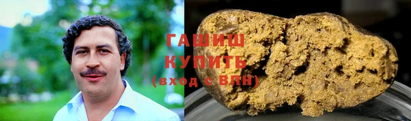 крисы Бородино