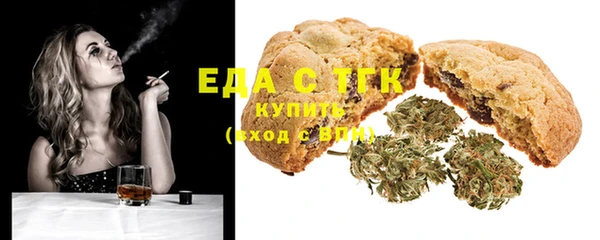 крисы Бородино