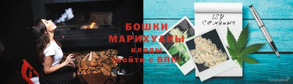 крисы Бородино