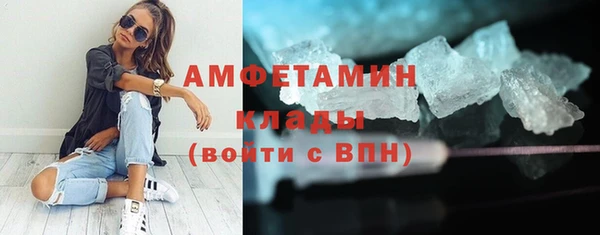 крисы Бородино