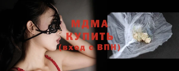 крисы Бородино