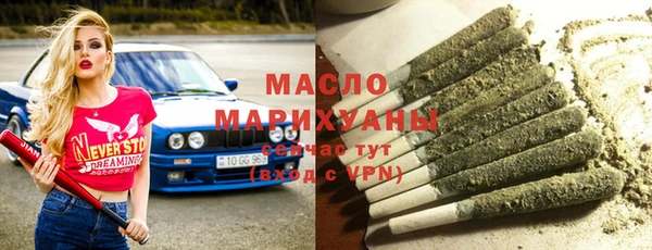 крисы Бородино
