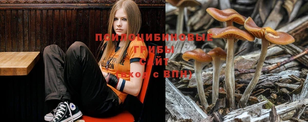 стаф Бугульма