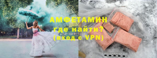 крисы Бородино