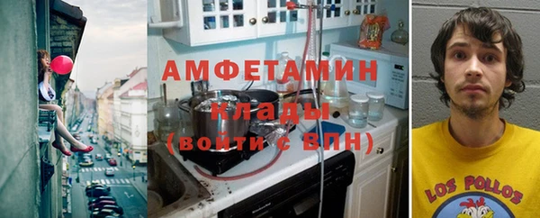 крисы Бородино