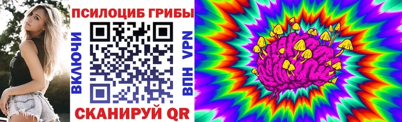 Псилоцибиновые грибы Magic Shrooms  kraken ONION  Новодвинск 