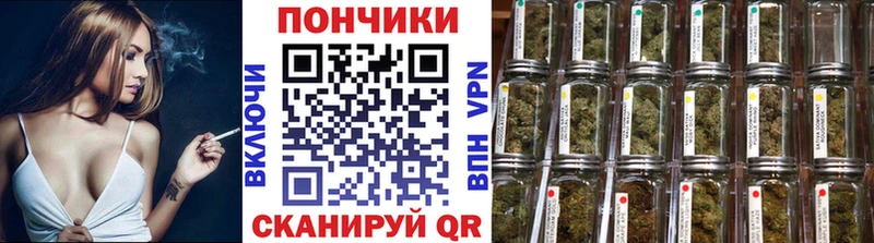 Канабис планчик  Новодвинск 